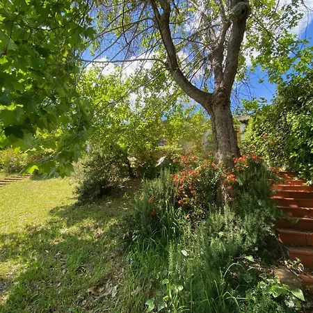 Casa Do Tatil Evi