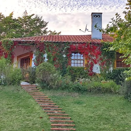 Casa Do Tatil Evi *