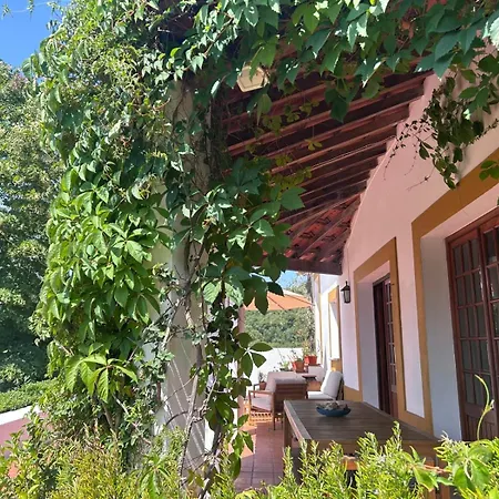 Casa Do Tatil Evi