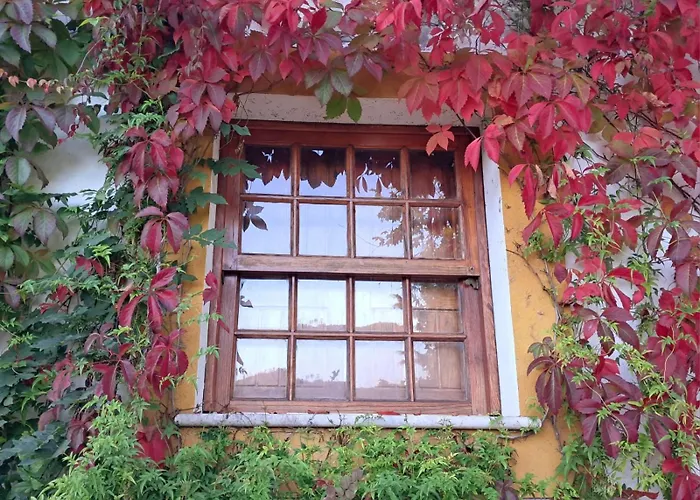 Casa Do *